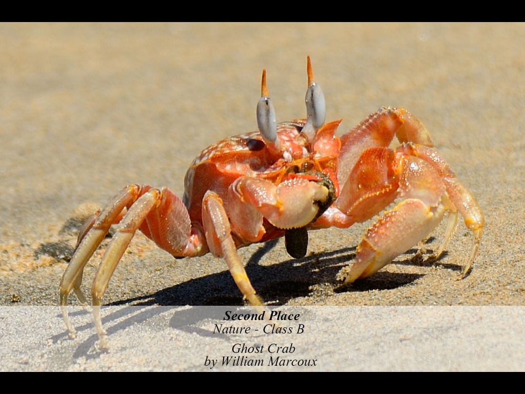 1NB5-201511-B-N-GHOST_CRAB-478-WILLIAM_MARCOUX.jpg