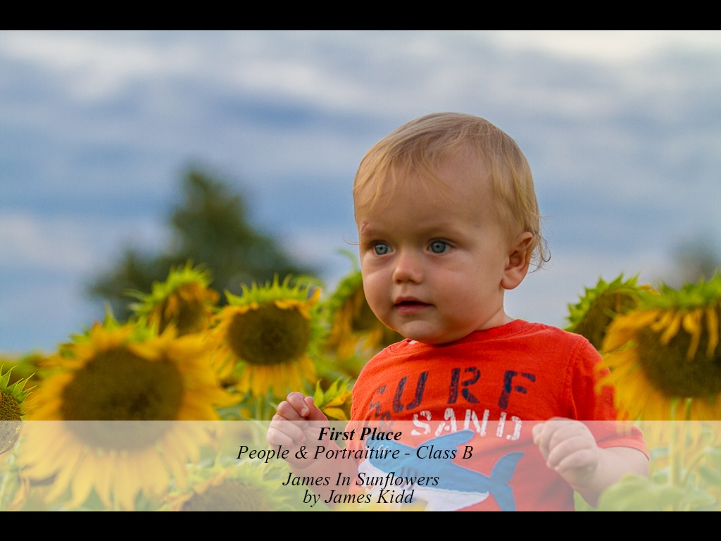 4PB2-201511-B-P-JAMES_IN_SUNFLOWERS-457-JAMES_KIDD.jpg