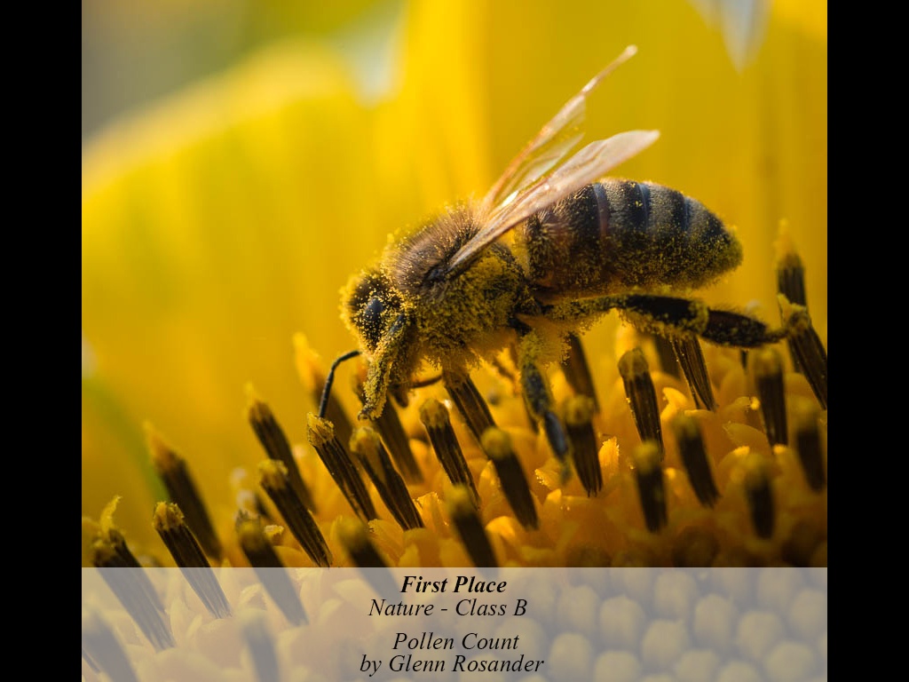 1NB3-201510-B-N-POLLEN_COUNT-508.JPG