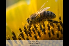 1NB3-201510-B-N-POLLEN_COUNT-508.JPG